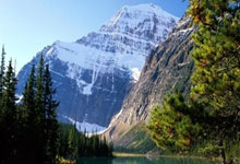 泰伦·卢认为交易(yì)谢伊·吉尔杰斯-亞(yà)历山大是理所当然的