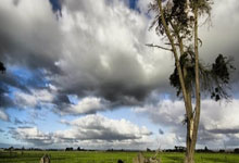 反摆烂新规5月29日投票！NBA陷入两大困境，追梦呼吁严惩摆烂球队