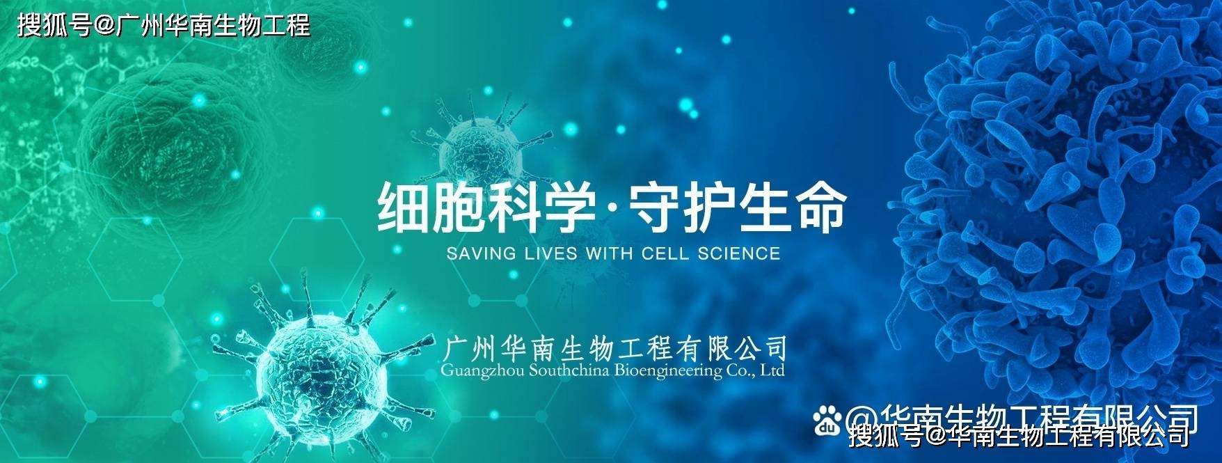 丹麦ssi中(zhōng)国官網(wǎng)中(zhōng)文版